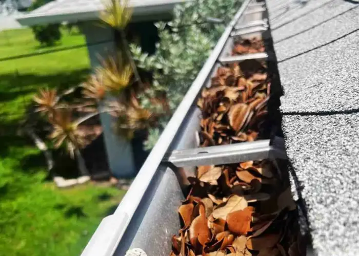 James Island gutter cleaning home page